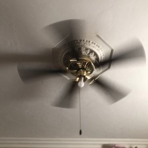 Meet your Posher, Jaime